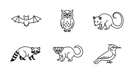 Fototapeta premium Vector line art vector illustration of wild animals bat owl opossum raccoon lemur and bird clip art drawing design