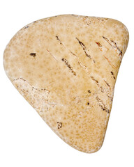 Top view of single yellow pebble isolated on white background.