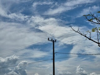 Electric pole near tree with blue sky in the morning