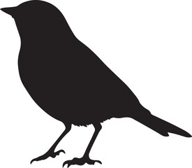 Robin strutting moving forward with little steps, head gently bobbing, and wings tucked against its sides in a black vector outline.