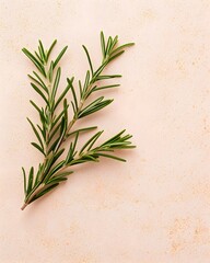 Harvesting fresh rosemary culinary herb kitchen natural setting close-up flavorful cooking inspiration