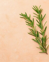 Harvesting fresh rosemary sprigs kitchen food photography natural light close-up culinary inspiration