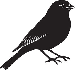 Obraz premium Sparrow Calling Body upright, head forward, wings gently spread, black silhouette vector.