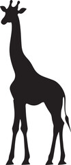 Fototapeta premium Giraffe Posture Tall and steady, neck high, legs straight, full silhouette design.