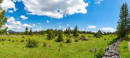 View of a countryside in small village Podgora in Montenegro