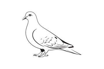 Dove silhouette vector .Set of dove silhouette vector .group of bird