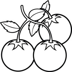 Three ripe cherry tomatoes on vine with leaves produce fruit