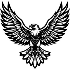 Obraz premium eagle with wings