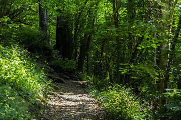 Obraz premium Sarvanots trail in the Italian Piedmont