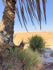 White rock formations and sand dunes in Egypt's White Desert, natural desert landscape	
