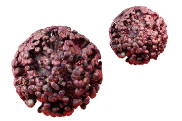 3d Coronavirus particle virus with red spike protein on red surface, close up view of virus...