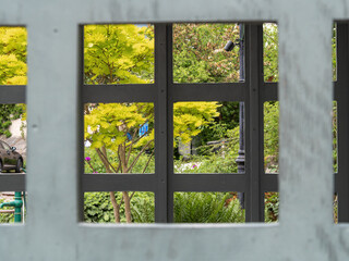 Framed View of a Serene Garden with Vibrant Foliage