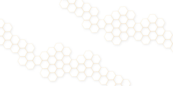 Abstract Modern simple style hexagonal graphic concept. 3d Futuristic abstract honeycomb technology white background. Luxury white hexagon pattern.	
