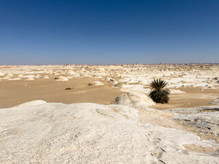 White rock formations and sand dunes in Egypt's White Desert, natural desert landscape	