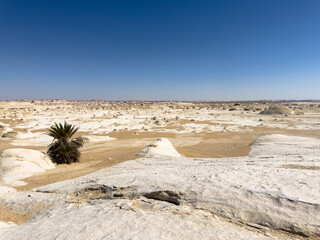 White rock formations and sand dunes in Egypt's White Desert, natural desert landscape	