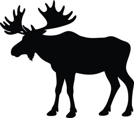 black moose illustration