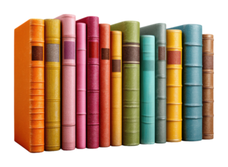 Colorful vintage book collection displayed on a shelf in a cozy library