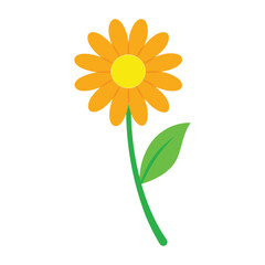 Vibrant yellow daisy with a bright orange center and a long flowing green stem perfect for floral designs