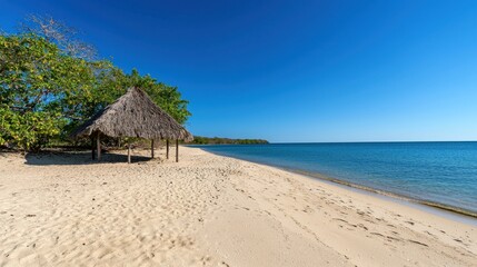 Fototapeta premium A beach with a small hut on it