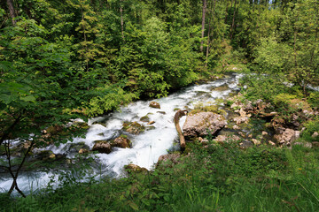 Scenic forest stream flowing over mossy rocks, surrounded by lush green trees. Pure, wild nature...