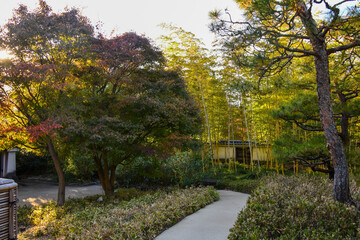 Naklejka premium autumn in the park