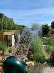 gießen, wasser, dürre, wasserknappheit, wasser, entnahmeverbot, sprengen, gießen, garden, blume,...