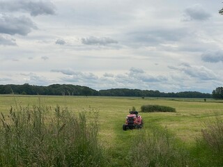 rasentraktor, rasen, mähen, mäghdresche,r feld, landwirtschaft, hof, haus, garten, feld, traktor,...