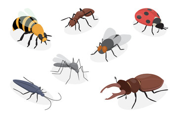 Set of insects. Bee, ant, ladybug, mosquito, longhorn beetle, fly insect, stag beetle. Flat vector poster on white background.