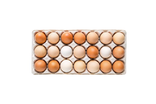 Twenty-one mixed brown and white eggs in cardboard flat, three rows of seven eggs each, isolated on a transparent background