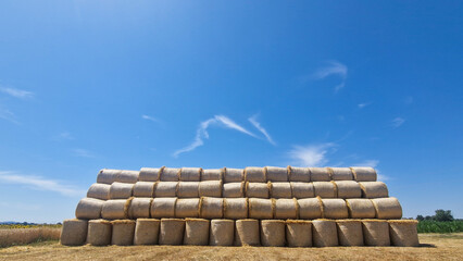 Large stack of round hay bales on a dry summer field under blue sky