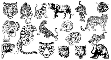 Magnificent Tiger Sketches Pack: A detailed Vector set of striking, artistic sketches featuring various poses and perspectives of the majestic tiger.