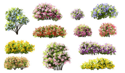  Vector watercolor blooming flower tree or forest side view isolated on white background for landscape and architecture drawing,elements for environment or and garden,green tree for garden section 