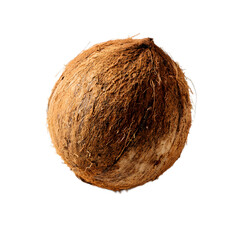 Single Brown Coconut On Plain Black Backdrop