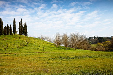 Typical Tuscany landscape (Italy)