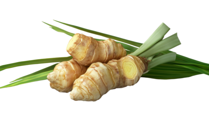 Embracing natural healing with fresh ginger roots and vibrant lemongrass symbolizing wellness on transparent background