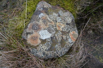 B29 OVEREXPOSED Crash Site, The Peak District, England – June 8 2022: Lichen-covered aircraft...