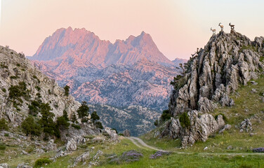 Habitats of wild goats and wonderful landscapes in the Gidengelmez Geography -Antalya-Turkiye