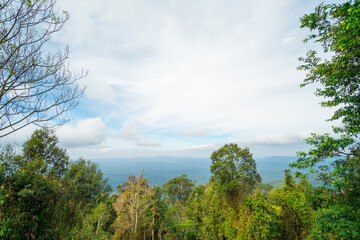 Obraz premium Scenic view, landscape of Khao Yai National Park in Thailand
