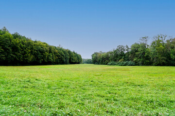 Wolfbusch