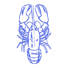 Lobster sketch with chalk or charcoal line texture. Rough simple crayon sign or kid hand drawn drawing. Vector illustration for seafood logo, restaurant label, marine education sticker.