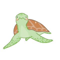 Cute Turtle