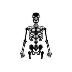 skeleton silhouette, skeleton vector