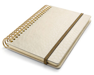 A close up shot of a cream colored notebook with a gold spiral and a brown elastic band on a white background