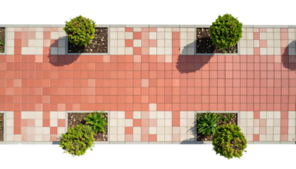 Red and white tiled walkway with green bushes casting shadows on sunny day