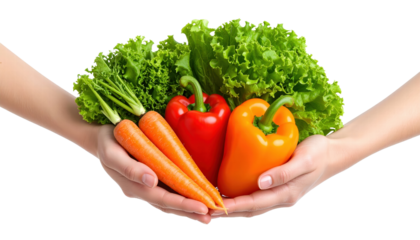 Fresh green lettuce, orange and red bell pepper with carrots held in hands