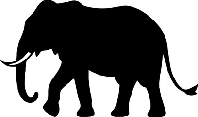 Fototapeta premium Large African elephant vector silhouette, isolated on white, showcasing its majestic trunk and tusks