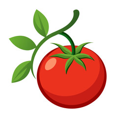 tomato with leaves