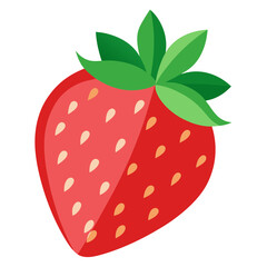 strawberry vector illustration