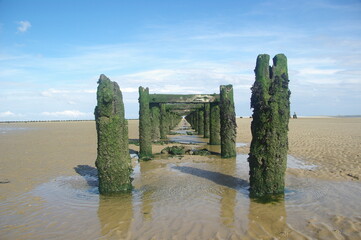 Old wooden pier at Ostanleger Wangerooge covered in Algae at Low Tide - endless perspective, e.g....