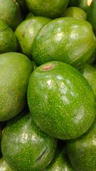Close up pile of tasty fresh avocados sold at the market as a background.